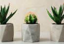 Vasos para decoração em 2024: conheça as tendências